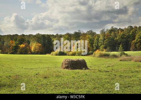 Landscape near Yasnaya Polyana - Bright Glade homestead. Tula oblast. Russia Stock Photo