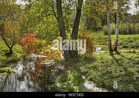 Landscape near Yasnaya Polyana - Bright Glade homestead. Tula oblast. Russia Stock Photo