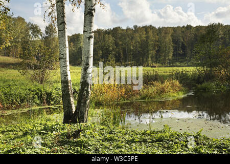 Landscape near Yasnaya Polyana - Bright Glade homestead. Tula oblast. Russia Stock Photo