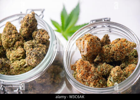 Detail of cannabis buds on clear glass jars isolated on white - medical marijuana dispensary concept Stock Photo