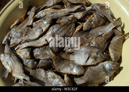 Lady selling fish at Mwandi market, Mwandi, Zambia, Africa. Stock Photo