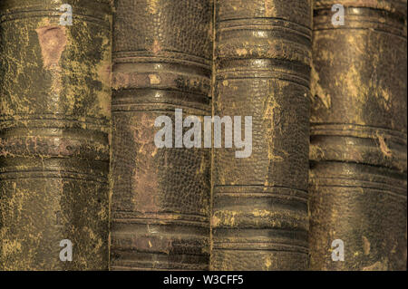 Vintage, antiquarian books pile on wooden surface in warm directional light. Selective focus. Stock Photo