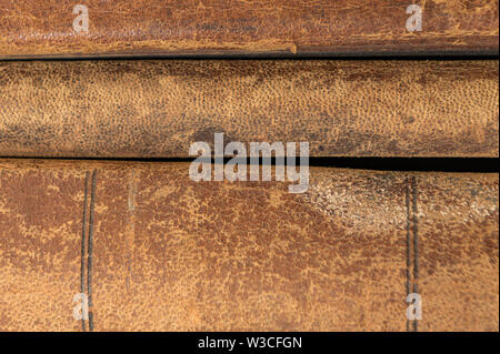 Vintage, antiquarian books pile on wooden surface in warm directional light. Selective focus. Stock Photo