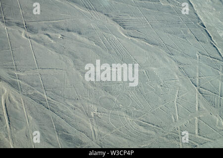 Lizard, Tree and Hands Images at Nazca Lines in Peru Stock Photo - Alamy