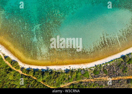 Adriatic sea shore in Croatia, Dugi otok island, pine woods and hidden secret beach from drone, overhead view Stock Photo