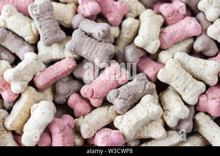 Top down view of dog treat bones.  Close up view.  Great background. Stock Photo