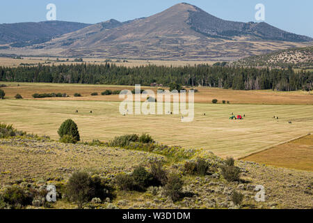 Mowing hay in a Wyoming valley. Stock Photo