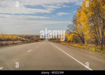 Amazing view with colorful autumn forest with asphalt mountain road. Beautiful landscape with empty road, trees and sunlight in in autumn. Travel Stock Photo