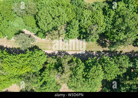 park landscape aerial top view with bushy fresh trees and park road Stock Photo