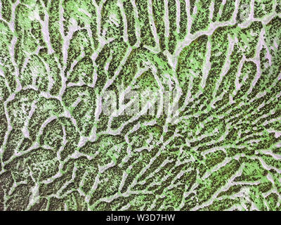 Abstract art background green and white color. Multicolor oil painting on canvas. Fragment of olive artwork. Texture stucco backdrop. Stock Photo