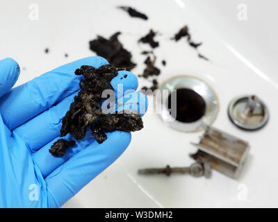 Plumber holding mass of hair and grime from clogged sink. Stock Photo
