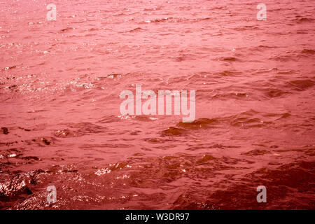 Red water in the sea. Waves on the surface of the water. Abstract background. Stock Photo