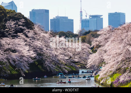 Japan, Honshu, Tokyo, Kudanshita, Chidori-ga-fuchi, Imperial Palace Moat , Cherry Blossom and People Boating with City Skyline in Rear Stock Photo