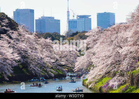 Japan, Honshu, Tokyo, Kudanshita, Chidori-ga-fuchi, Imperial Palace Moat , Cherry Blossom and People Boating with City Skyline in Rear Stock Photo