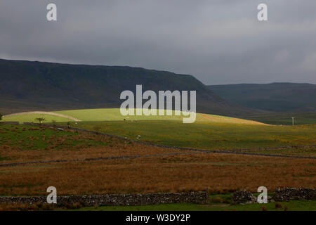 Cronkley Scar in Upper Teesdale, County Durham, England, UK Stock Photo