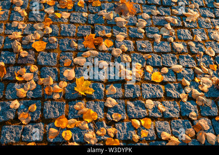 Autumn background. Fallen orange autumn leaves on the textured stone pavement, autumn sunny view Stock Photo