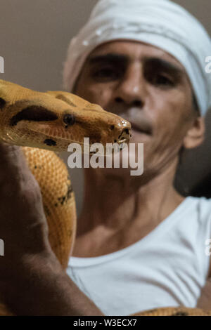 Karmei Yosef, Israel. 15th July, 2019. Israeli snake handler, breeder