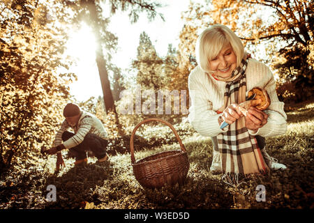 Husband and wife cutting mushrooms in the forest. Stock Photo