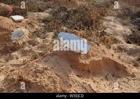 Zarzis, Tunisia. 14th July, 2019. A flower stands on a grave at the 'Cemetery of the Unknown'. On the beaches of the southern Tunisian town of Zarzis, near the holiday island of Djerba, the bodies of drowned migrants are washed up again and again. (to dpa: The Bay of the Nameless Dead) Credit: Simon Kremer/dpa/Alamy Live News Stock Photo