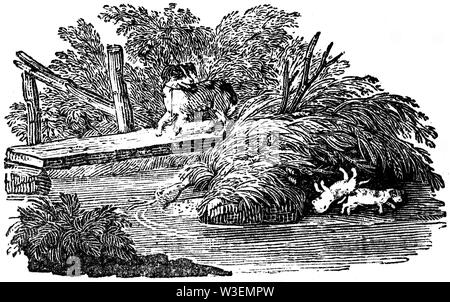 Pastoral Tailpiece. Wood cut engraved illustration, taken from 'Thomas Bewick 'A General History of Quadrupeds', Published by T. Bewick, Longman and C Stock Photo