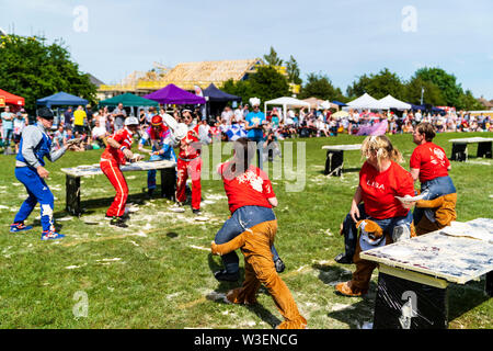 Two teams in fancy dress in field with audience watching, throwing custard pies at each other  during the yearly World Custard Pie Championship 2019. Stock Photo