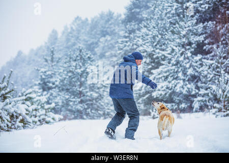 Happy man with labrador retriever dog playing in winter snowy forest Stock Photo