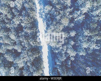 Aerial view of the road in the winter pine forest. Trees covered with snow