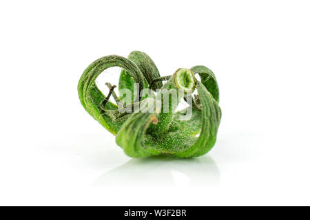 One piece of fresh red tomato cherry isolated on white background Stock Photo