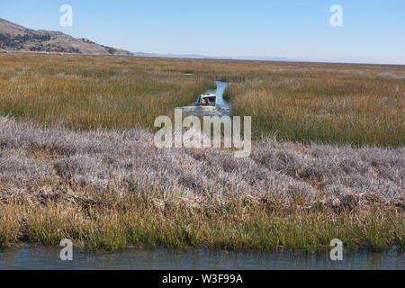 Boat headed up the reed canals of the Uros islands, Lake Titicaca, Puno, Peru Stock Photo