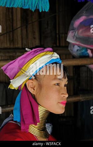 ban yapa, chiang rai/thailand - october 29, 2009: portrait of a young karen woman wearing brass rings at her neck Stock Photo