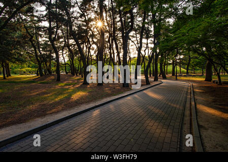 Pedestrian path and sun rays at the Daereungwon Tombs complex, taken at sunset, Gyeongju, South Korea Stock Photo