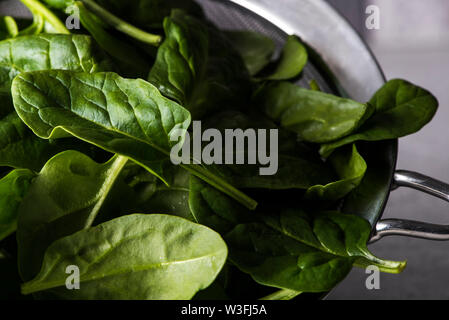 Raw, fresh, bayleaf spinach in a stainless steel sieve. Stock Photo