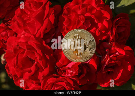 bitcoins pictures of roses