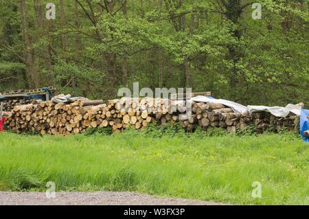 Stacked firewood in the garden (Germany, Europe) Stock Photo