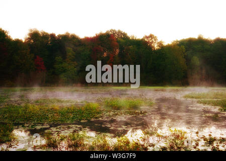 Fairy forest behind a foggy lake. Water lilies grow on the surface of the water. Mystical Dawn in USA, Michigan Stock Photo