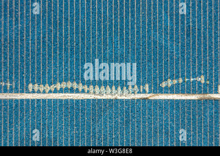 Snail trails defects in Solar Energy Modules because of corroion in between the metallic contacts inside the Solar Cell Stock Photo