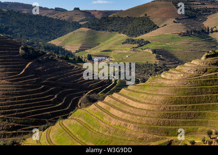 Scenic view of the terraced vineyards in the Douro Valley near the village of Pinhao, Portugal; Concept for travel in Portugal and most beautiful plac Stock Photo