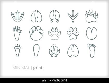 Set of 15 animal print line icons of wildlife footprints for hunting or tracking Stock Vector