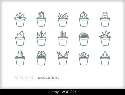 Set of 15 succulent houseplant line icons Stock Vector