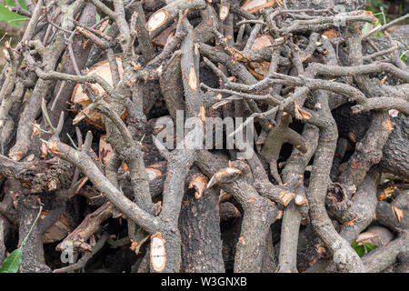 Pile of stacked firewood, prepared for heating and cook food. Stock Photo