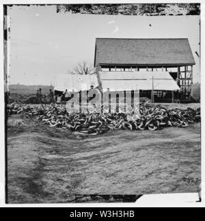 City Point, Virginia. Slaughter house. Civil war photographs, 1861-1865 ...