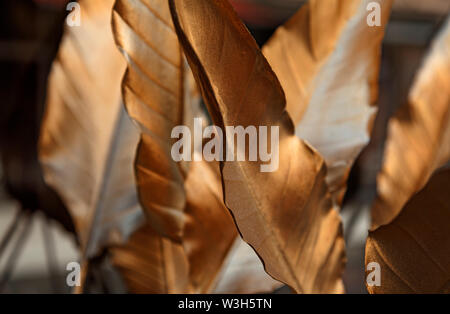 leaves painted in gold color outside restaurant Stock Photo