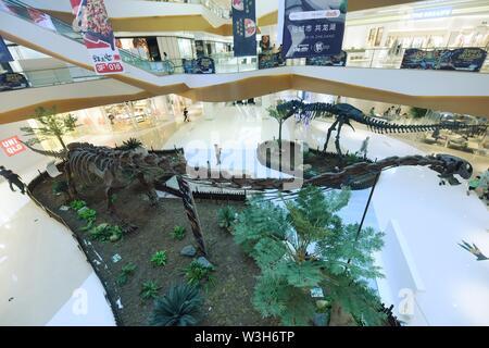 Rex China Zhejiang, Zhejiang, China. 16th July, 2019. Zhejiang, China - July 16 ...