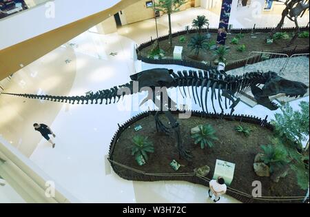 Zhejiang, Zhejiang, China. 16th July, 2019. Zhejiang, China - July 16 2019: A customer looks at the fossilized skeleton of a tyrannosaurus rex at a shopping mall in hangzhouÃ¯Â¼Å'Zhejiang. Credit: SIPA Asia/ZUMA Wire/Alamy Live News Stock Photo