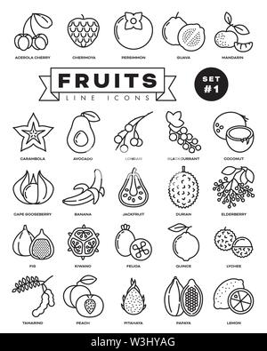 Collection of fruit vector outline icons. Illustration of healthy food from all over the world. Set 1 of 3. Stock Vector