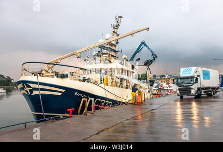 Crosshaven, Cork, Ireland. 16th July, 2019. Crew of the trawler Buddy M putting out the gangway after docking at the quayside in Crosshaven, Co. Cork, while a lorry arrives to pick up with catch of Haddock and Whiting. Credit: David Creedon/Alamy Live News Stock Photo