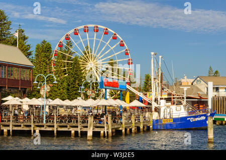 The popular Touris Wheel in the Esplanade Park just across from the Fishing Boat Harbour - Fremantle, WA, Australia Stock Photo