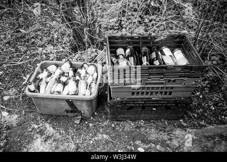 Trays of empty beer bottles waiting to be collected by the recycling truck, Medstead, Hampshire, England, United Kingdom. Stock Photo