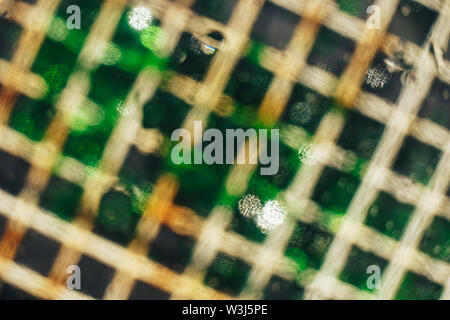 Beautiful grid white and green background.  Close up. Stock Photo