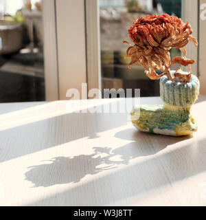 Simple decoration living space indoor at home with red dry daisy flower in colorful handmade pot with shoe shape near window so long oblique shadow Stock Photo